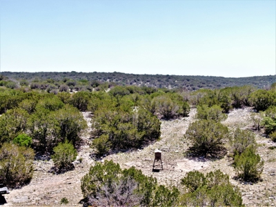 Hunting Ranch in Edwards Co Texas - image 24