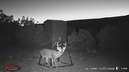 Hunting Ranch in Edwards Co Texas - image 31