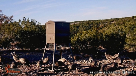 Hunting Ranch in Edwards Co Texas - image 30
