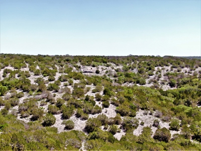 Hunting Ranch in Edwards Co Texas - image 26