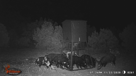 Hunting Ranch in Edwards Co Texas - image 32