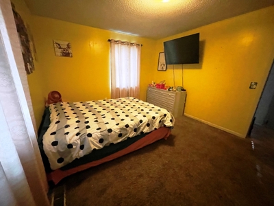 Home with shop for sale Ash Flat, Arkansas - image 23