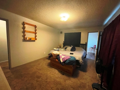 Home with shop for sale Ash Flat, Arkansas - image 28