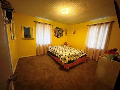 Home with shop for sale Ash Flat, Arkansas - image 24