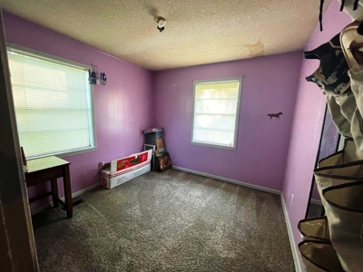 Home with shop for sale Ash Flat, Arkansas - image 25