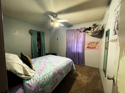 Home with shop for sale Ash Flat, Arkansas - image 30