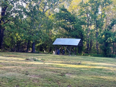 Home with shop for sale Ash Flat, Arkansas - image 7