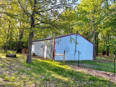 Home with shop for sale Ash Flat, Arkansas - image 42