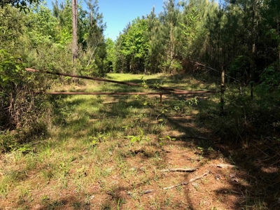 Hunting Land 41 Acres Sw Miss - image 20