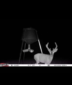 Hunting Land 41 Acres Sw Miss - image 21