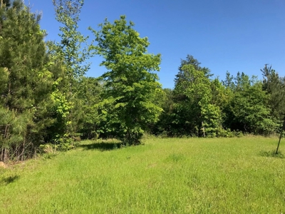 Hunting Land 41 Acres Sw Miss - image 13