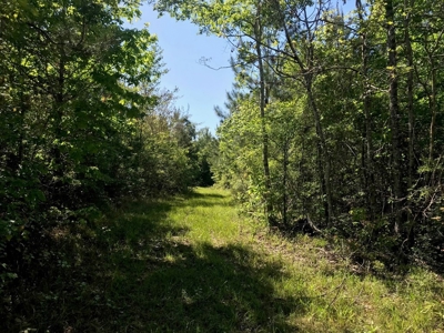 Hunting Land 41 Acres Sw Miss - image 17