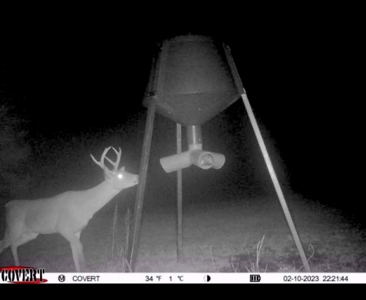 Hunting Land 41 Acres Sw Miss - image 24