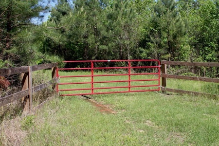 Hunting Land 41 Acres Sw Miss - image 5