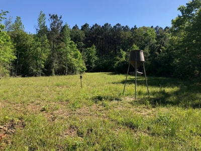 Hunting Land 41 Acres Sw Miss - image 1