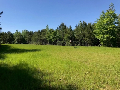 36 Acres for Sale in SW Mississippi - image 10