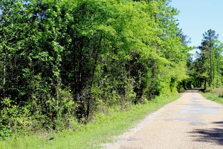 36 Acres for Sale in SW Mississippi - image 3