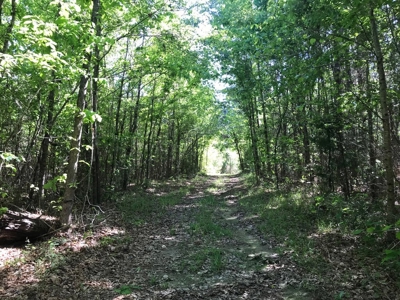 36 Acres for Sale in SW Mississippi - image 14