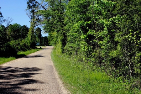 36 Acres for Sale in SW Mississippi - image 2