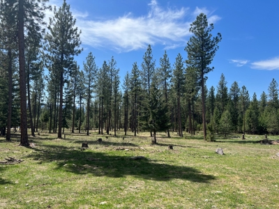 Montana Mountain Farmhouse on 10 Treed Acres - image 26