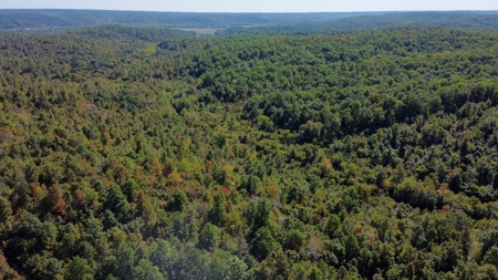 Ozarks Scenic Property w/ Spring Fed Creek & Lake for Sale - image 17