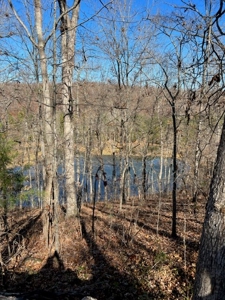 Ozarks Scenic Property w/ Spring Fed Creek & Lake for Sale - image 3