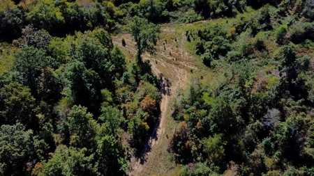 Ozarks Scenic Property w/ Spring Fed Creek & Lake for Sale - image 12