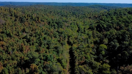 Ozarks Scenic Property w/ Spring Fed Creek & Lake for Sale - image 14