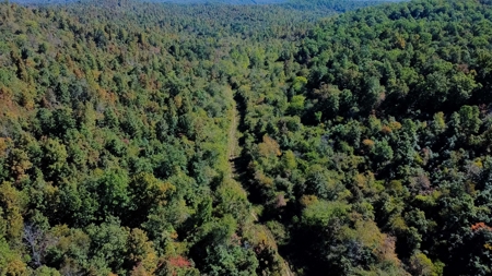 Ozarks Scenic Property w/ Spring Fed Creek & Lake for Sale - image 13