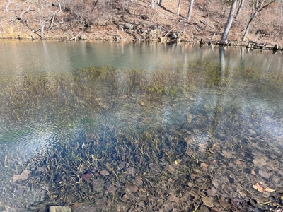 Ozarks Scenic Property w/ Spring Fed Creek & Lake for Sale - image 2