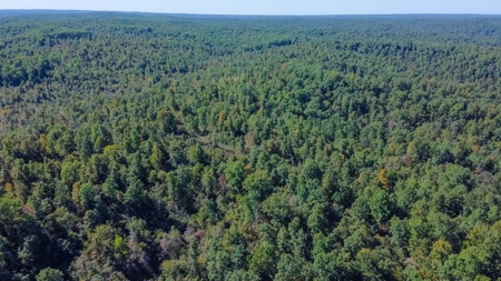 Ozarks Scenic Property w/ Spring Fed Creek & Lake for Sale - image 8