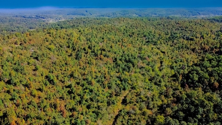 Ozarks Scenic Property w/ Spring Fed Creek & Lake for Sale - image 15