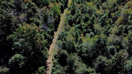 Ozarks Scenic Property w/ Spring Fed Creek & Lake for Sale - image 11