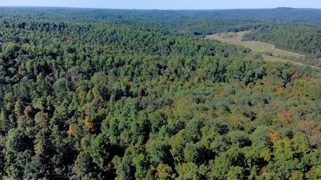 Ozarks Scenic Property w/ Spring Fed Creek & Lake for Sale - image 19