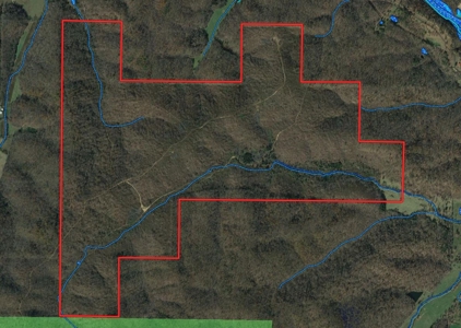 Ozarks Scenic Property w/ Spring Fed Creek & Lake for Sale - image 5
