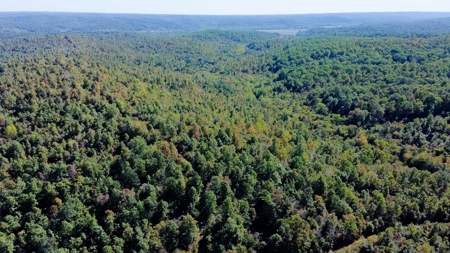Ozarks Scenic Property w/ Spring Fed Creek & Lake for Sale - image 4