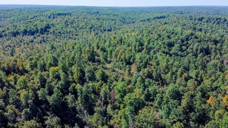 Ozarks Scenic Property w/ Spring Fed Creek & Lake for Sale - image 20