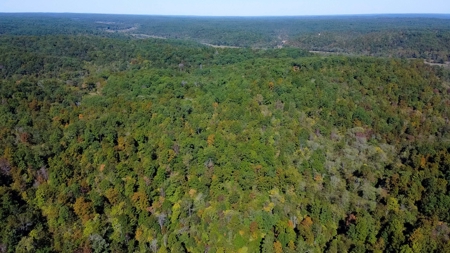 Ozarks Scenic Property w/ Spring Fed Creek & Lake for Sale - image 7