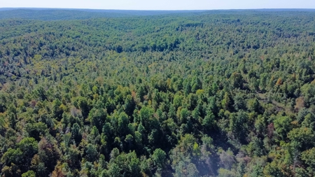 Ozarks Scenic Property w/ Spring Fed Creek & Lake for Sale - image 9