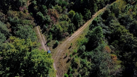 Ozarks Scenic Property w/ Spring Fed Creek & Lake for Sale - image 10
