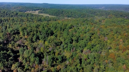 Ozarks Scenic Property w/ Spring Fed Creek & Lake for Sale - image 18