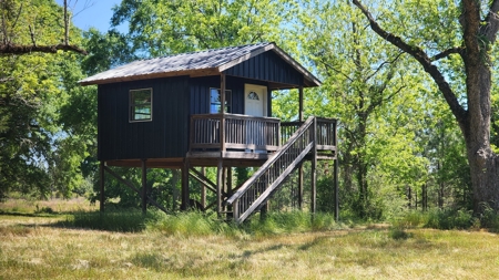 249 +/- Acres off Hwy 84 between Elba and New Brockton - image 36
