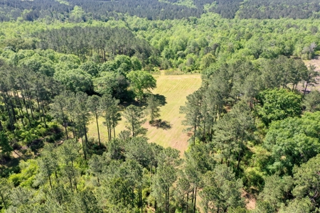 249 +/- Acres off Hwy 84 between Elba and New Brockton - image 27