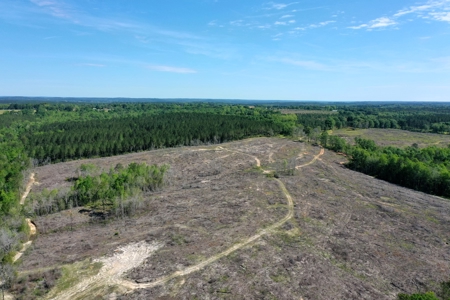 249 +/- Acres off Hwy 84 between Elba and New Brockton - image 26