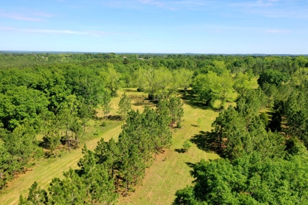 249 +/- Acres off Hwy 84 between Elba and New Brockton - image 23