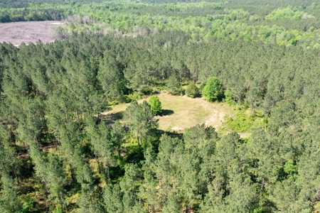 249 +/- Acres off Hwy 84 between Elba and New Brockton - image 25