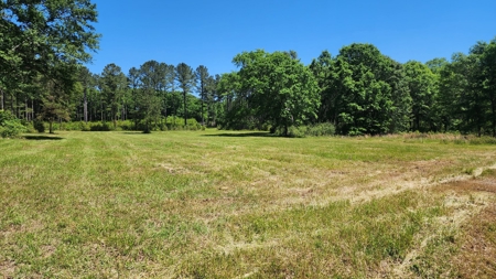 249 +/- Acres off Hwy 84 between Elba and New Brockton - image 1