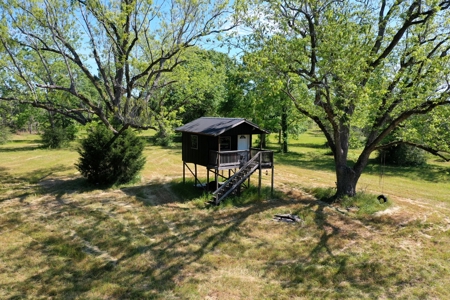 249 +/- Acres off Hwy 84 between Elba and New Brockton - image 24
