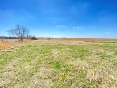 Tract 2 of 5, Hammack Family Land Auction - image 23