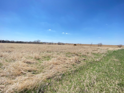 Tract 2 of 5, Hammack Family Land Auction - image 20